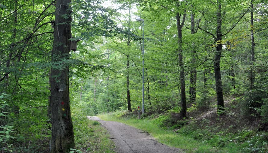 Ymergården: Naturmagi Vid Borås