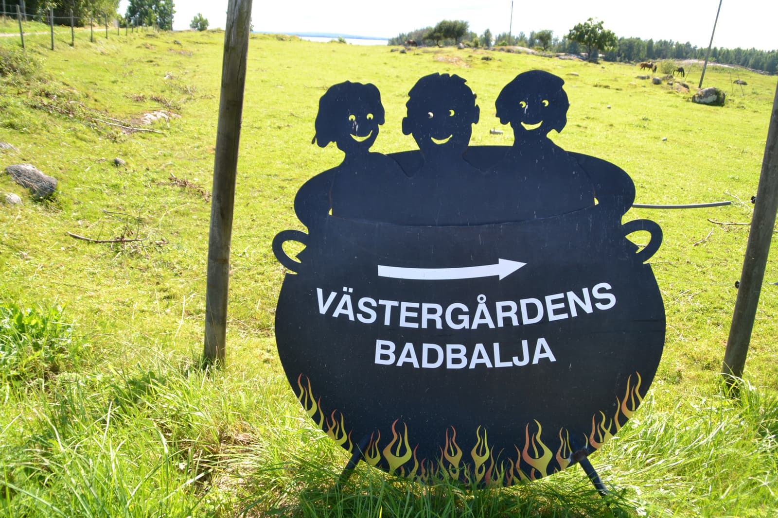 Västergården Dillö: Ö-liv med djur och natur vid Vänern