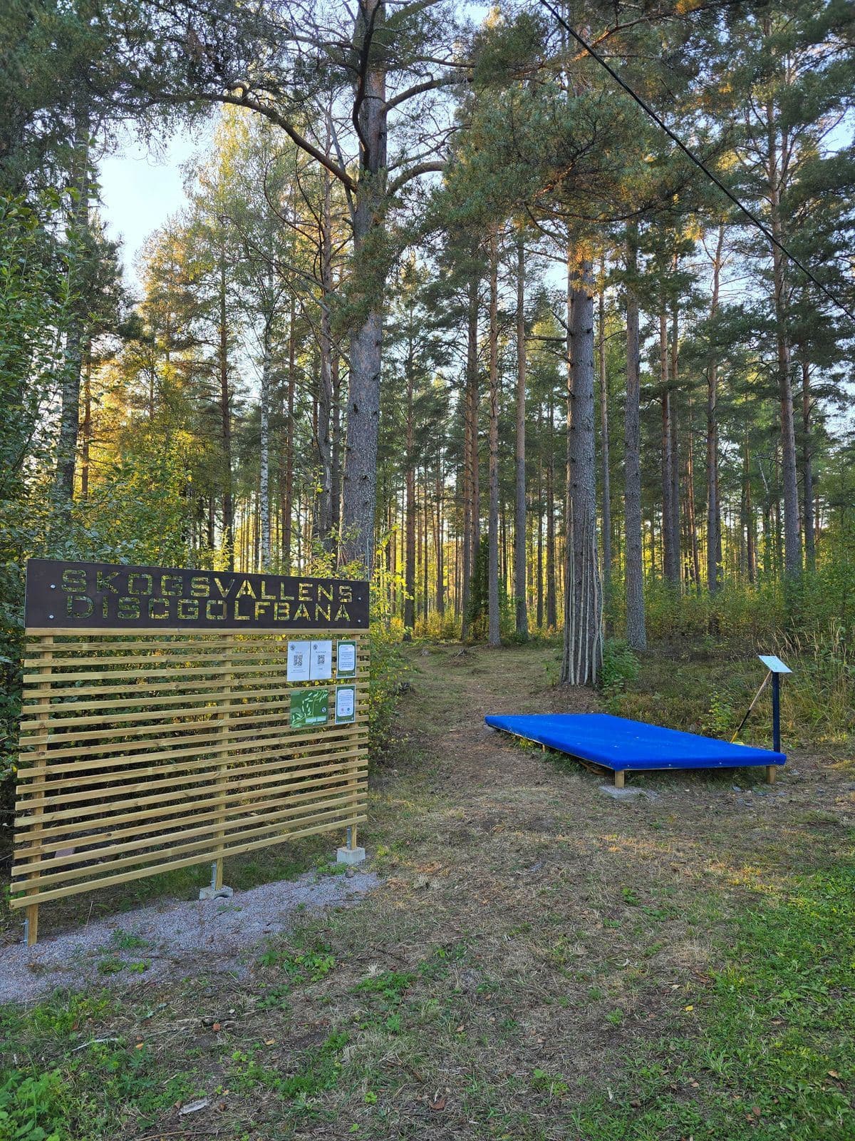 Skogsvallens Discgolfbana – Natur och utmaning