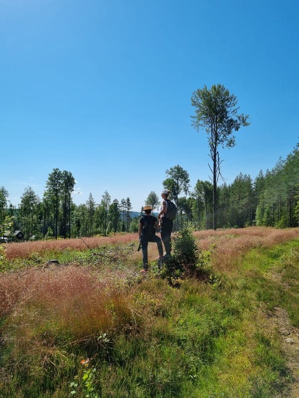 Vildmarksupplevelse i Glaskogens Naturreservat