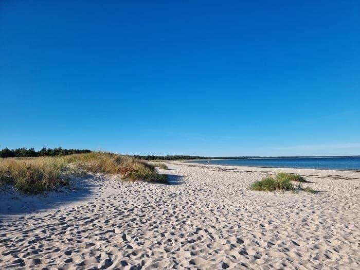 Böda Vandrarhem – En oas vid Östersjöns kust