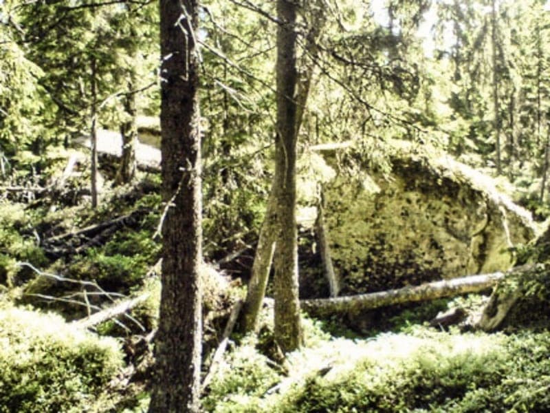 Nordskog-Skallberget: Värmlands Urskog