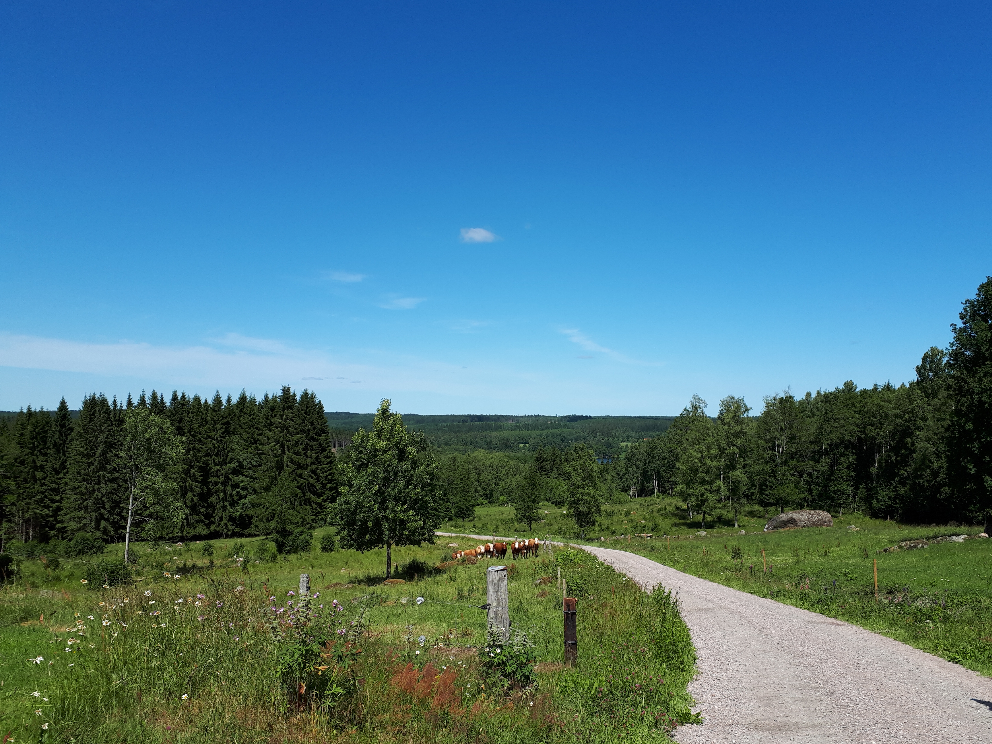 Ulricehamn: Upplev Västra Götalands hjärta från cykelsadeln