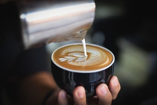 Nockes Café: En fristad för själen i Västra Götalands grönska