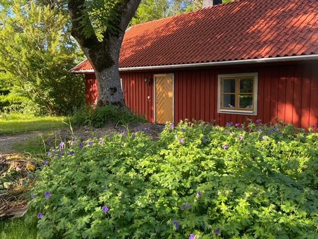 Hållvisen: Ett möte med det förflutna vid Mälarens strand