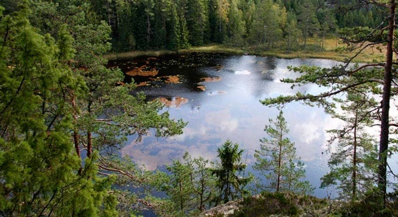 Rövarbro Skans: En resa genom tid och natur i Värmland