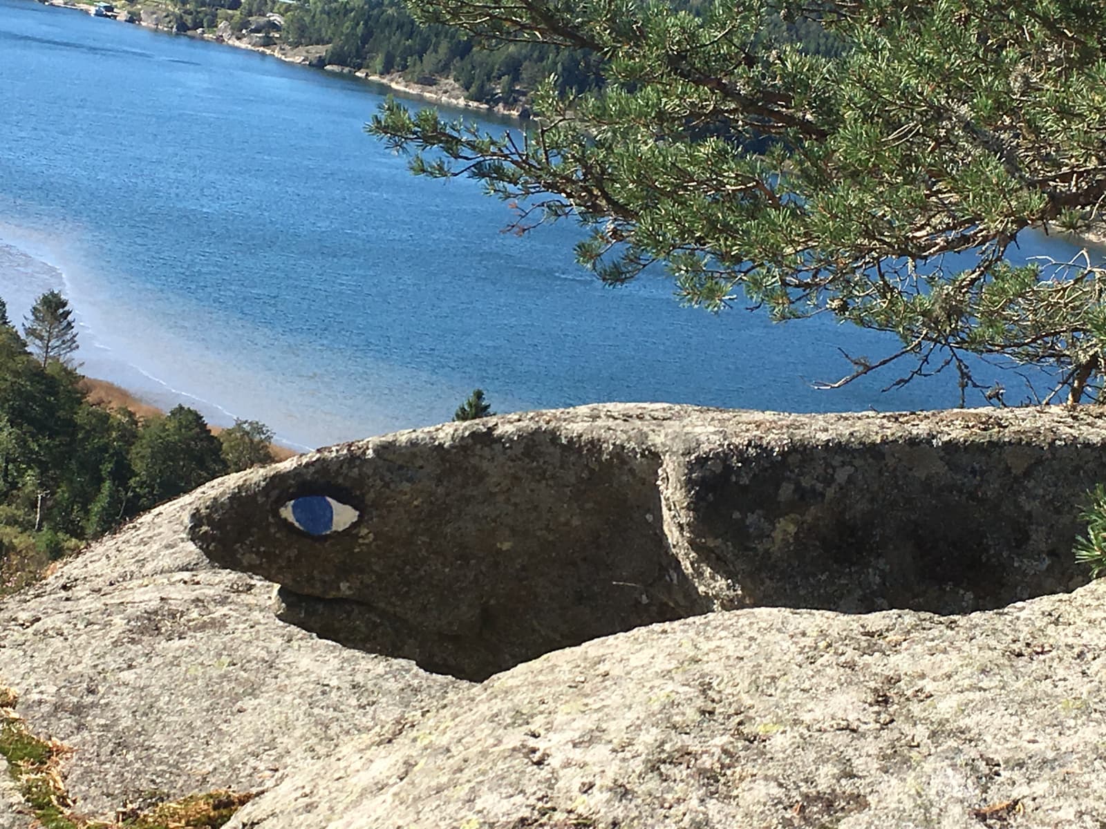 Torreby: En Smyckad Pärla i Bohuslän