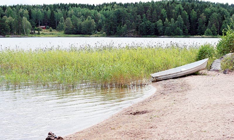 Sparnäs badplats: Sommaridyll vid Borgviks historiska vatten