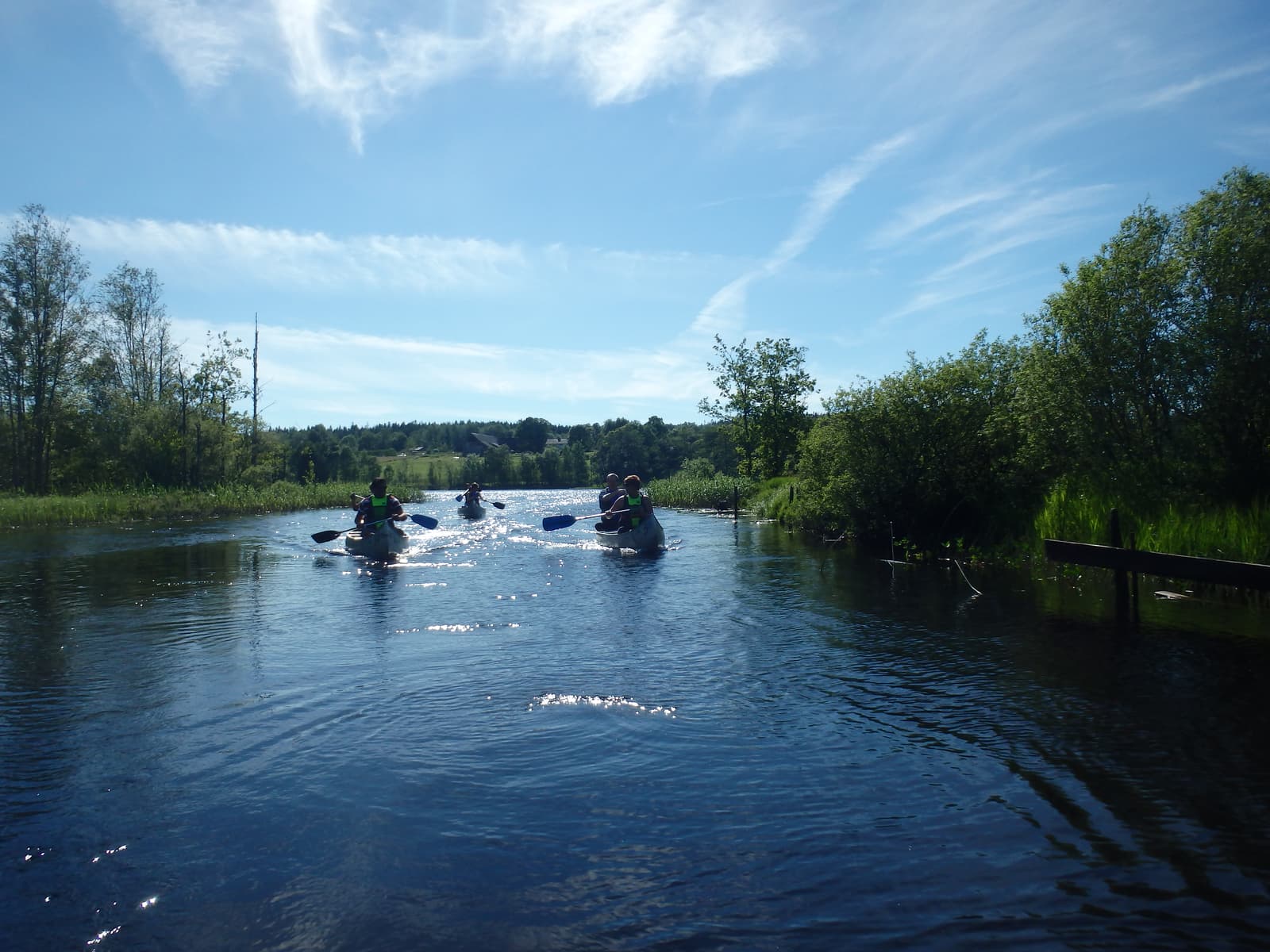 Kanotpaddling på Fegen: En simfoni av natur och ro