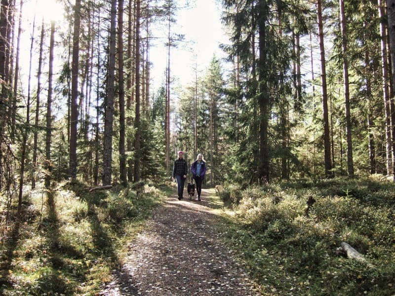Glaskogens Naturreservat: Upplev vildmarken