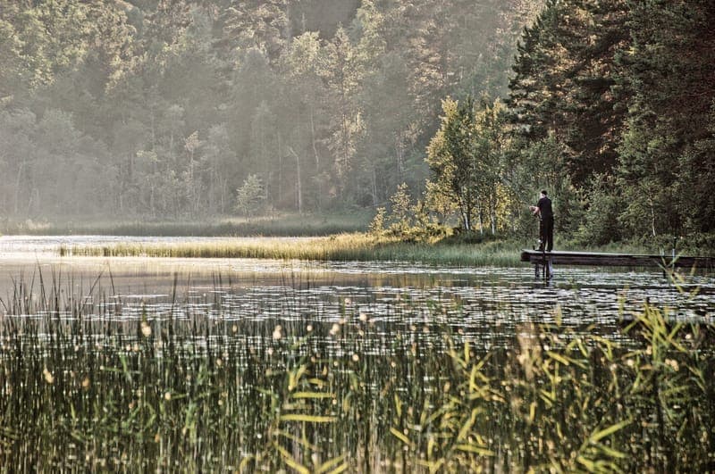 Skalltjärn: En dold pärla i Värmlands vilda natur