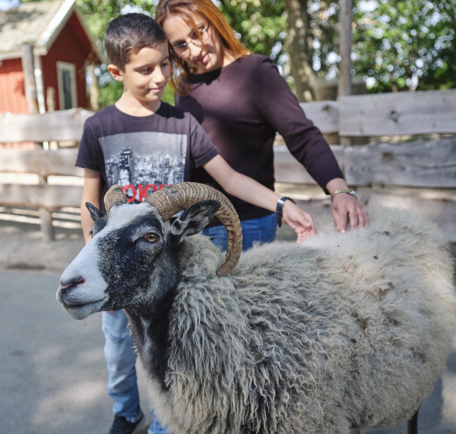 Parken Zoo i Sörmland: DjurMöten för Alla