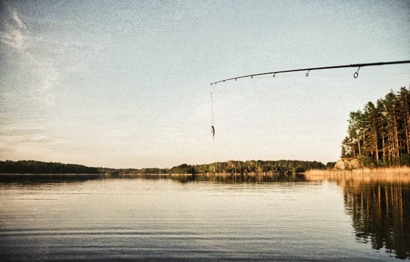 Nykroppa-Storfors fiskevårdsområde: Ett levande vattenrike i Värmland