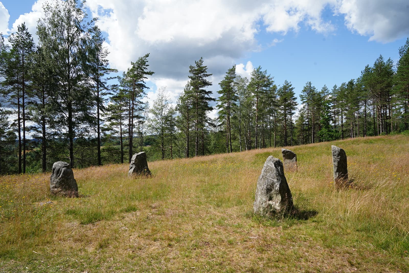 Järnålderns gravar i Naturreservat Äng