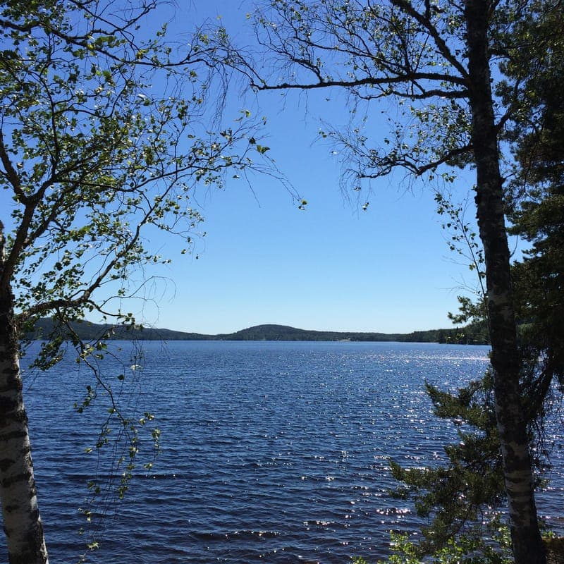 Rackens pärla: Där konst och natur möts