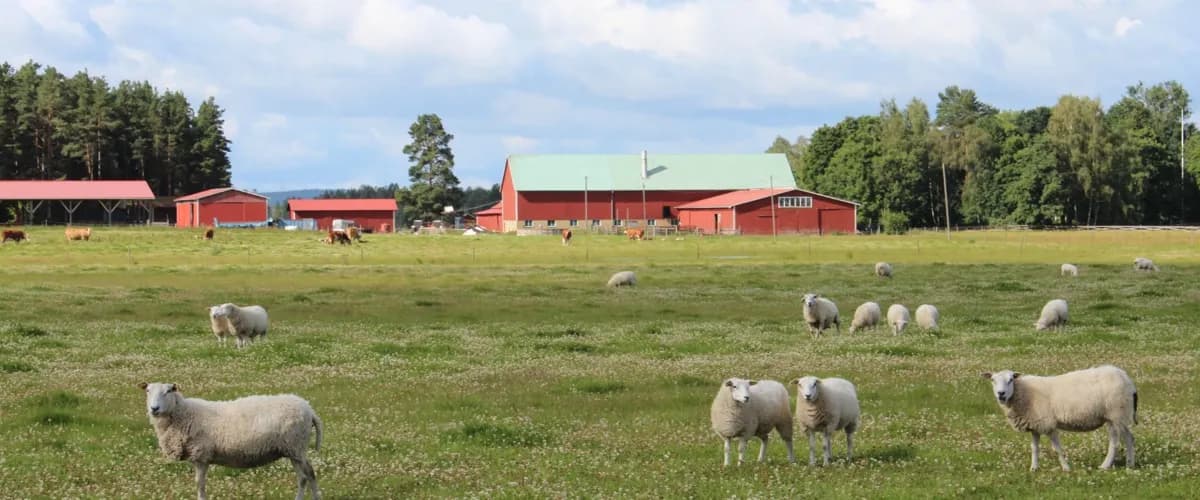 Yans Gård: En djupdykning i det landsbygdsidylliska livet