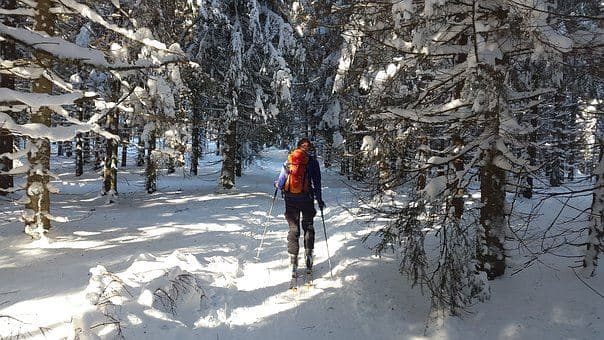 Edskenspåret – En Vinteridyll för Själ och Sinne