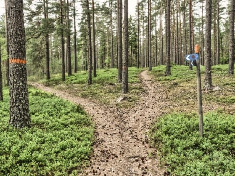 Skutberget-Kil: Utmanande vandring genom Värmlands varierade natur
