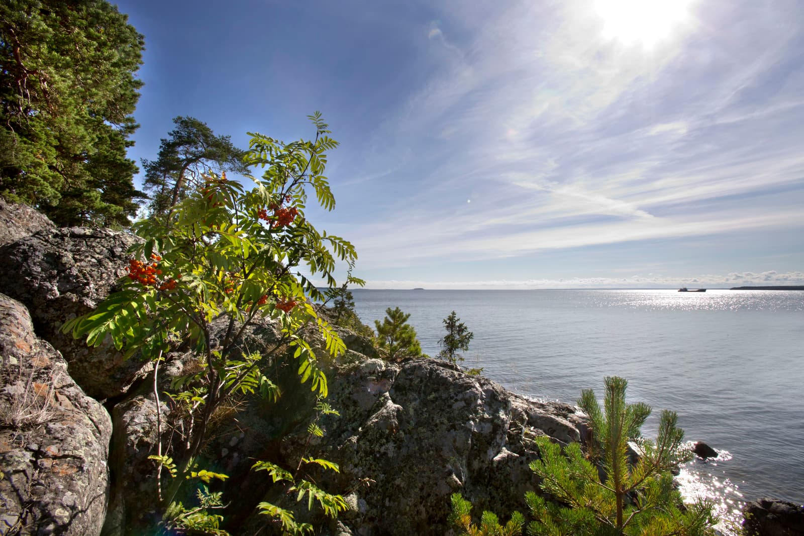 Norrlandets Kustled: Naturupplevelse längs Bottenhavet
