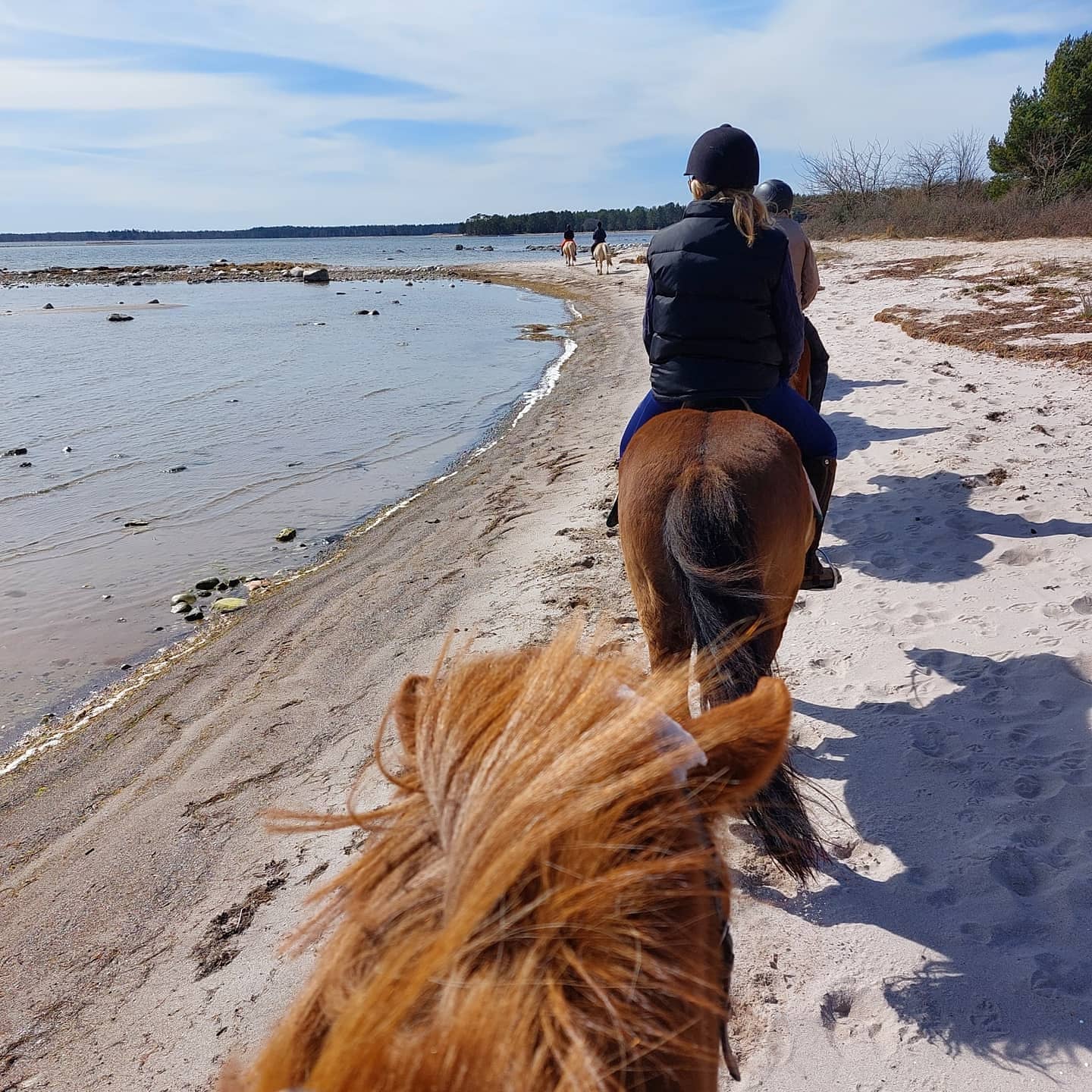 Dyk in i Gotlands undervattensrike: En snorklingsupplevelse vid raukarna