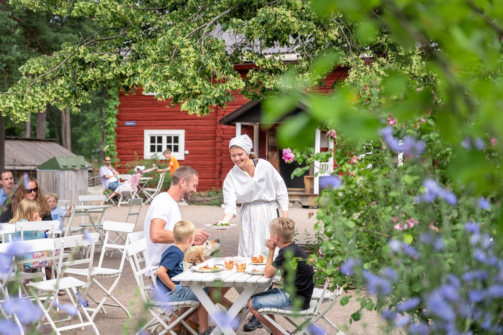 Mariebergsskogen: Karlstads gröna oas vid Klarälven
