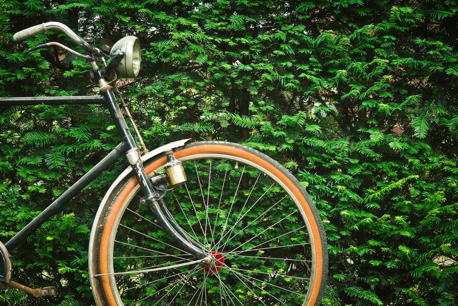 Svep genom Sagolika Västra Götaland: Lilla Gräfsnäsrundan på Cykel