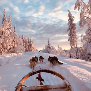 Avkoppling Vid Ajaur: Upplev Lapplands Vildmark i Västerbotten