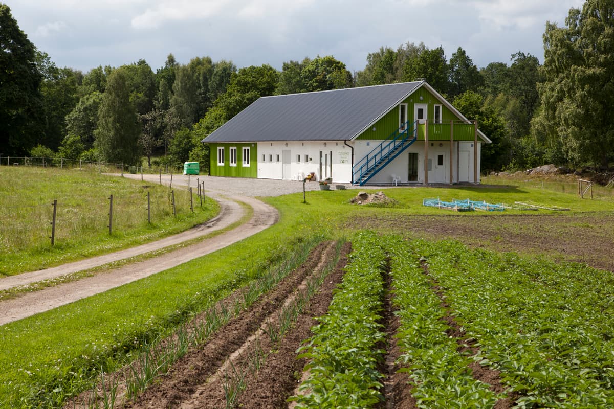 Olivia Eko B&B: En oas av rofylldhet i Västgöta natur