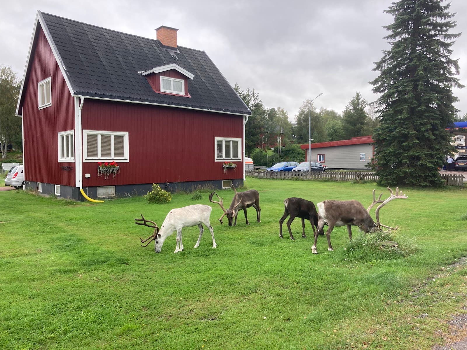Hävlingestugorna: Avskilda stugor vid fjällvatten