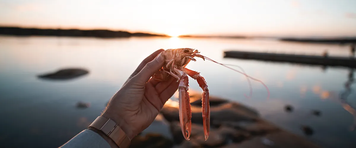 Sjöboden Udden – En Kulinarisk Hamn vid Havet i Grebbestad