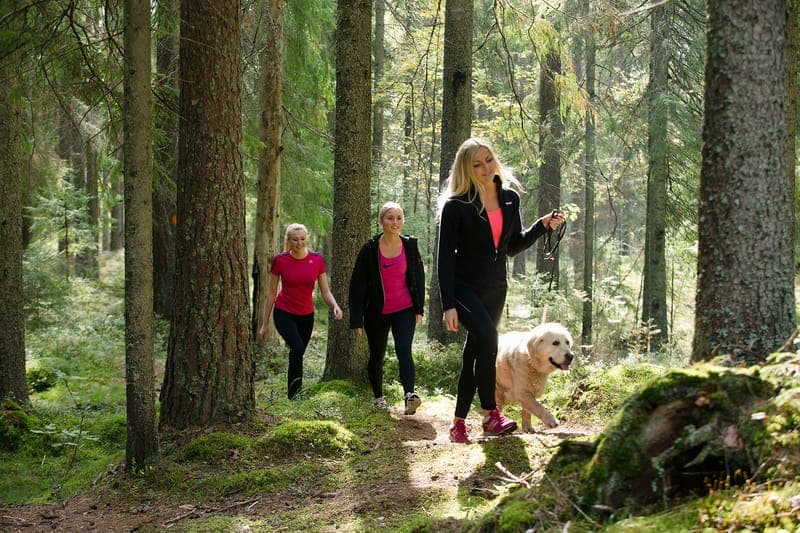 Stadsvandring i Arvika: Upptäck naturen precis intill stadens hjärta