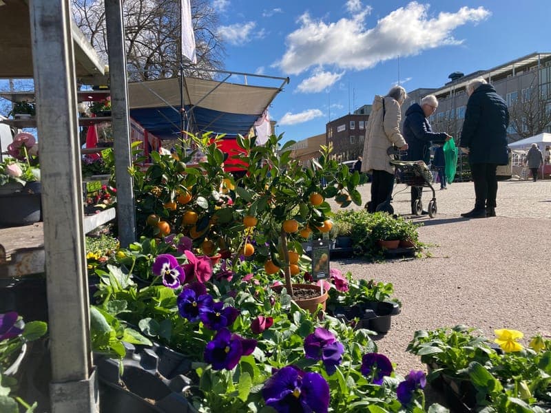 Kristinehamns Torg: En levande mötesplats i Värmland