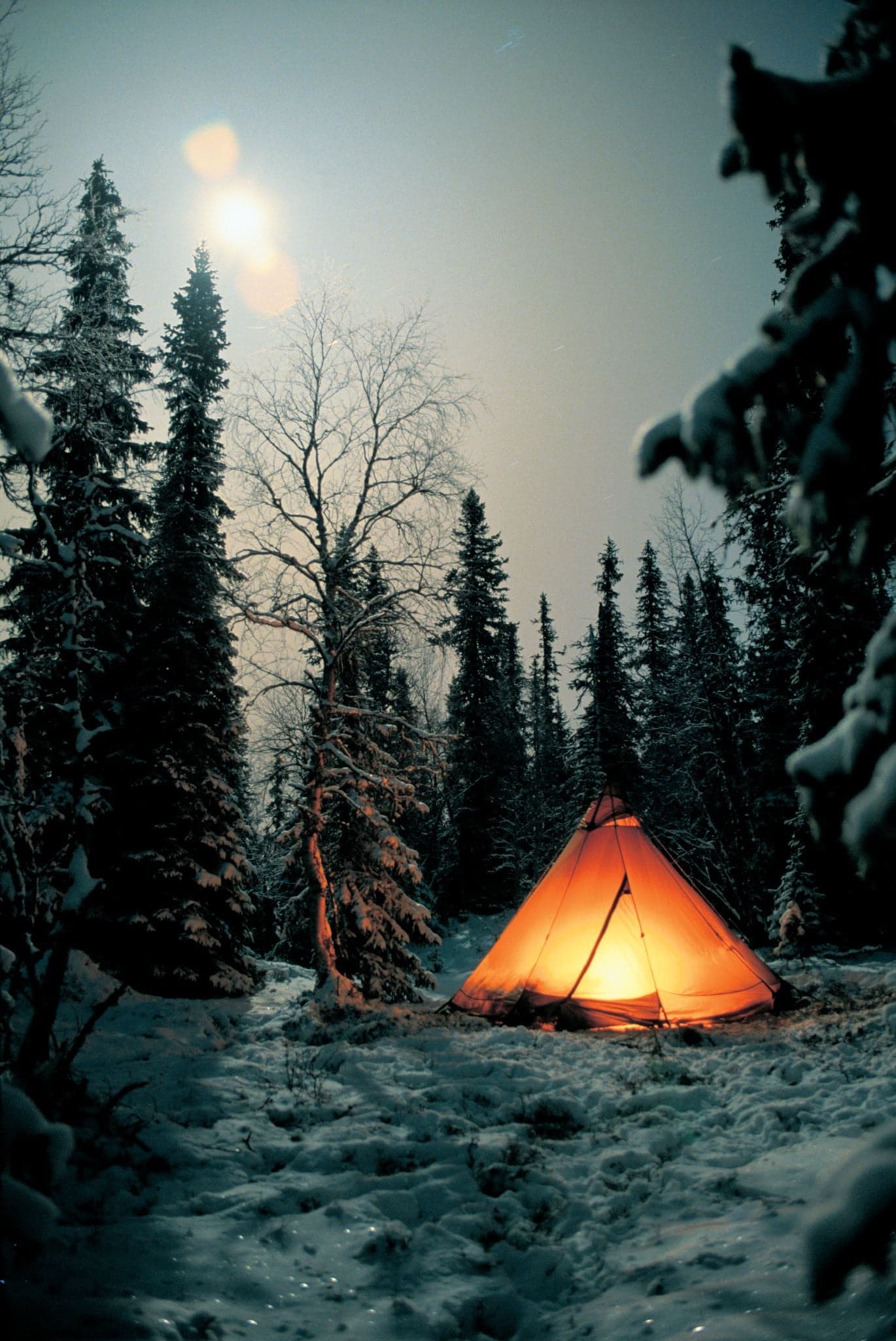 Unikt boende i Gävleborg: Glamping i skogens hjärta