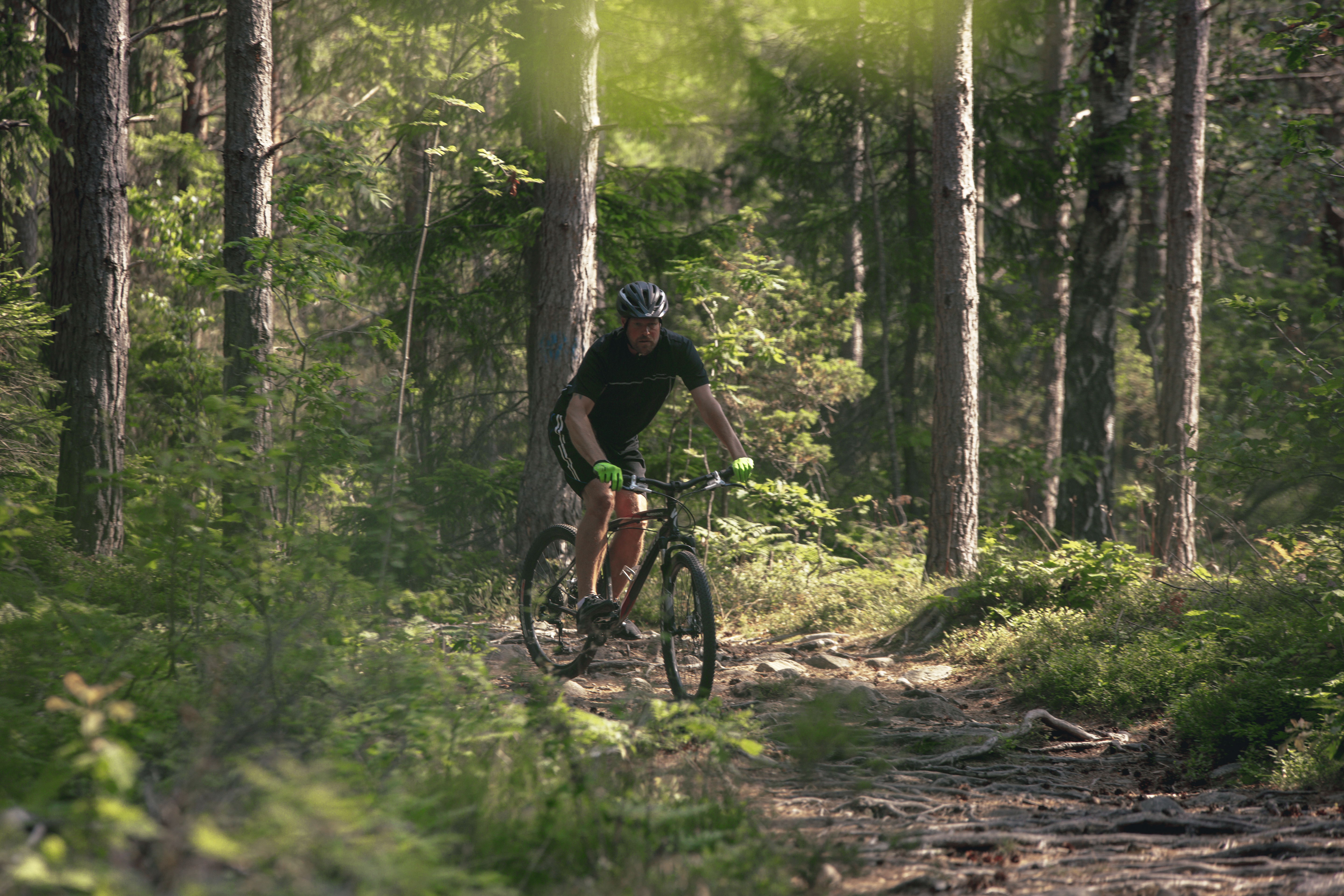 Skogsslingan: MTB-äventyr i Västra Götalands hjärta