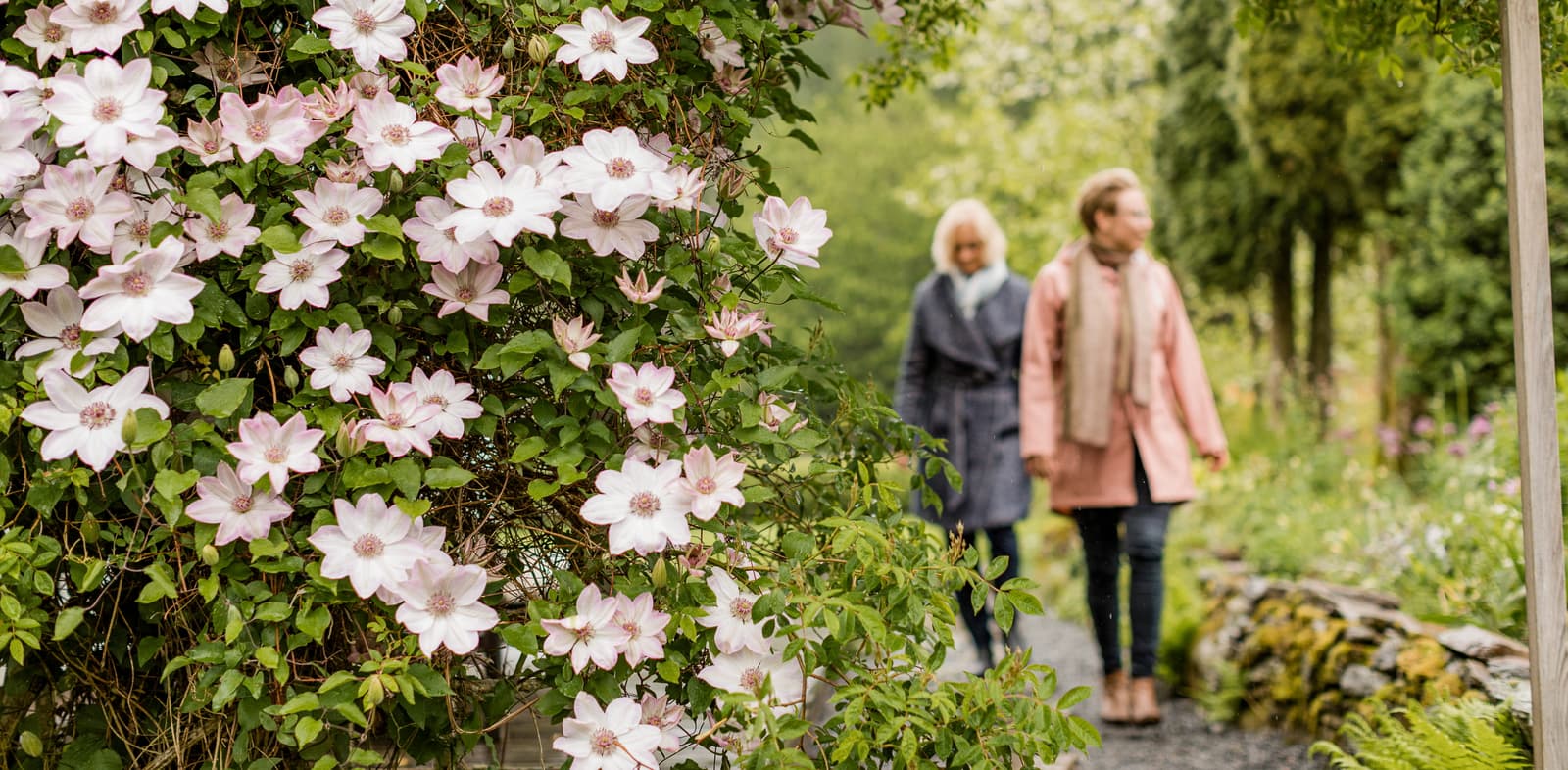 Nyhagens Trädgård: En rofylld grönskande pärla nära Borås