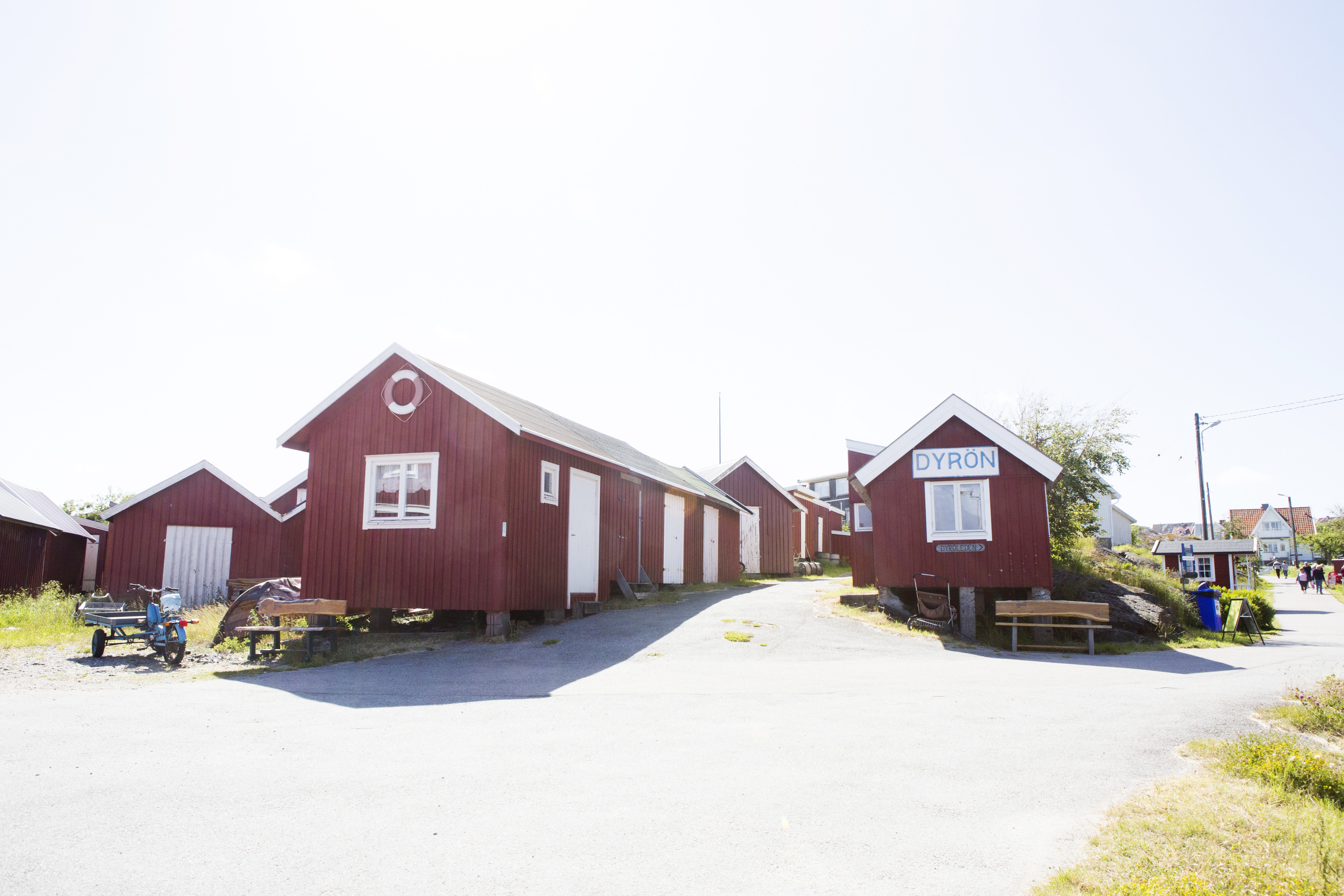 Våffelcafé & Minigolf på Dyrön