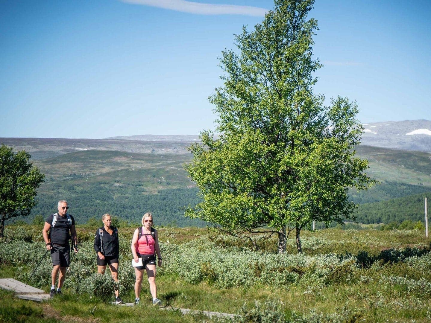 Funäsdalen Vandrarhem: Fjällens lugn vid sjön