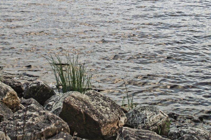 Yxesjöarna i Värmland: Ett naturnära paradis för återhämtning och fiske
