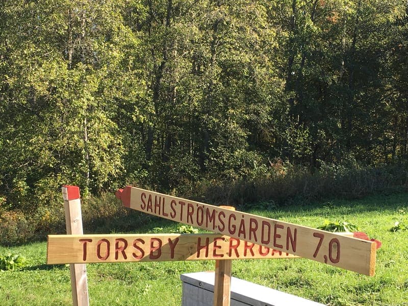Siristigen: En resa genom Värmlands industrihistoria och älvens kraft