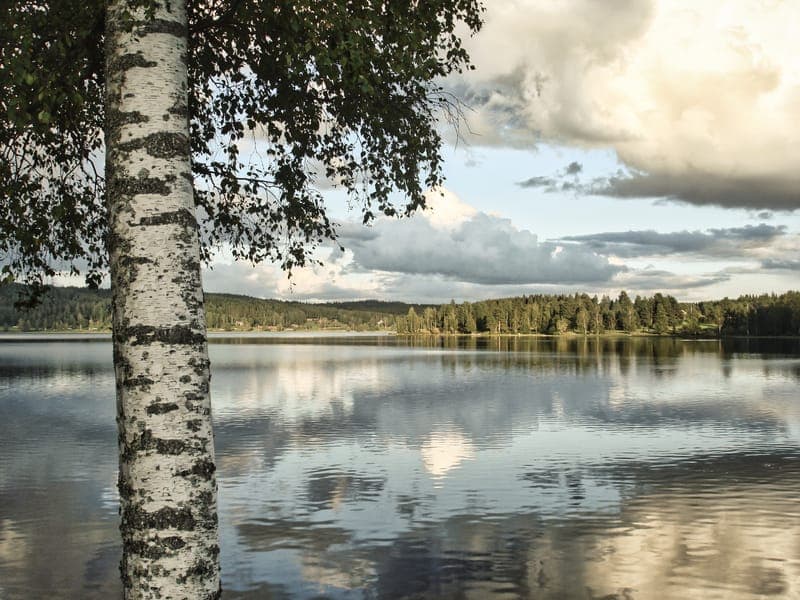 Mangskogälvarnas FVOF: Utforska Värmlands unika sjöar