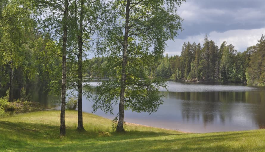 Storsjögården: Upplev Granskogens Förtrollande Ro
