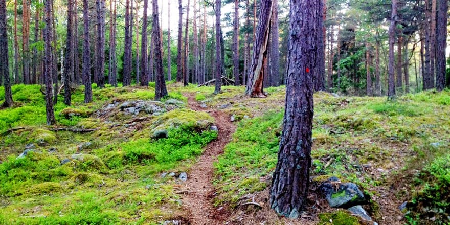 Silverleden: En resa genom Bergslagens hjärta