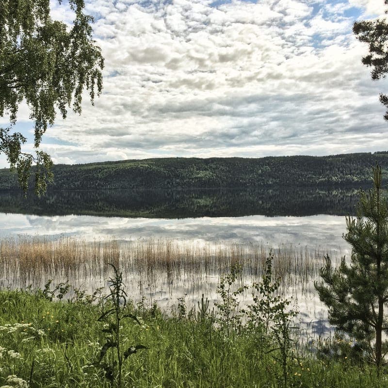 Mangen-Treen FVOF: Upplev Värmlands fiskeparadis och rofyllda natur
