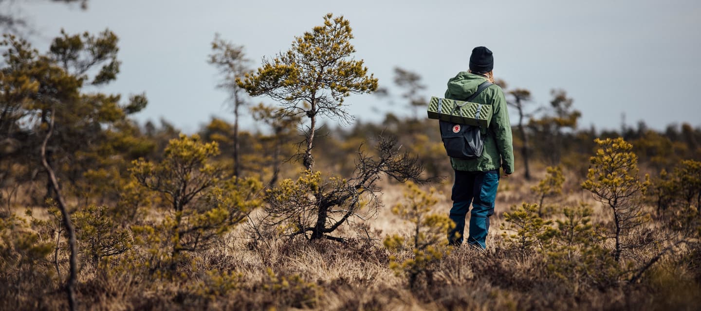 Store Mosse Nationalpark: Smålands Vidsträckta Myrlandskap