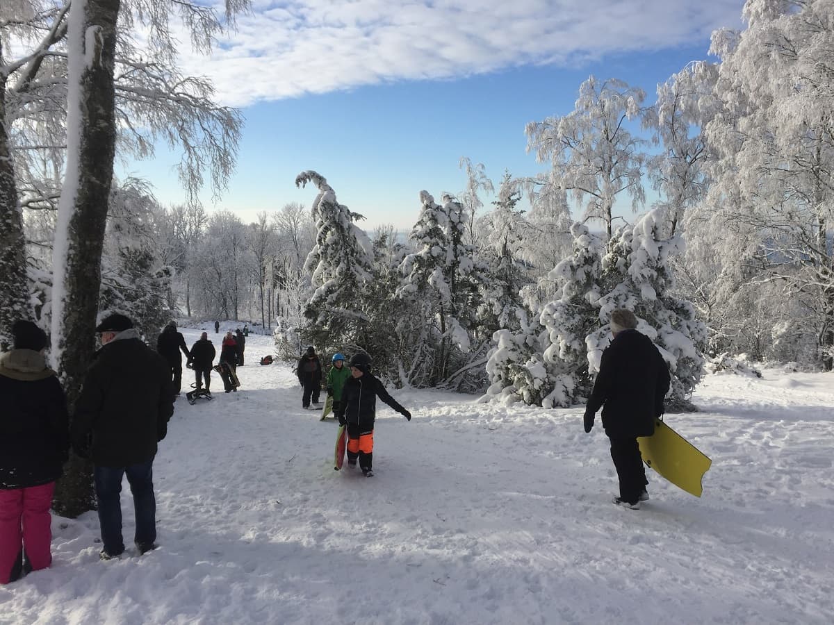 Vävglad: Där Hantverkets Hjärta Slår