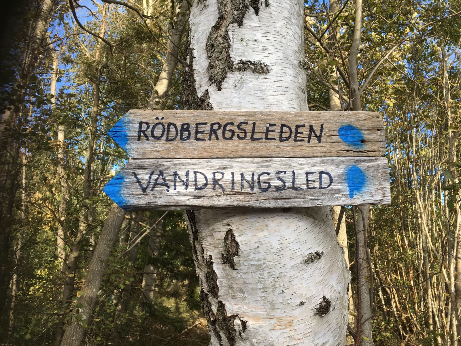 Rödbergsleden: En naturupplevelse vid Gullmarn