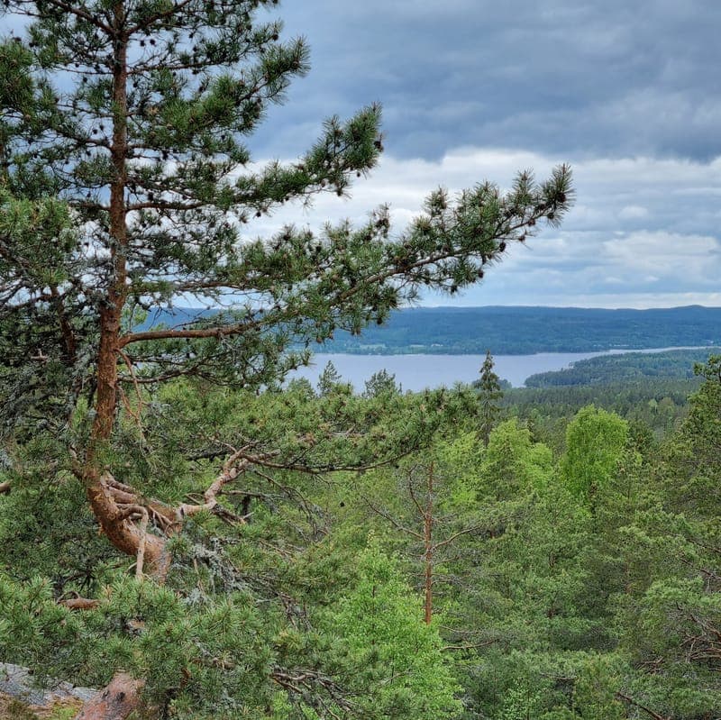 Ingestrands Camping: Din port till Värmlands själslandskap