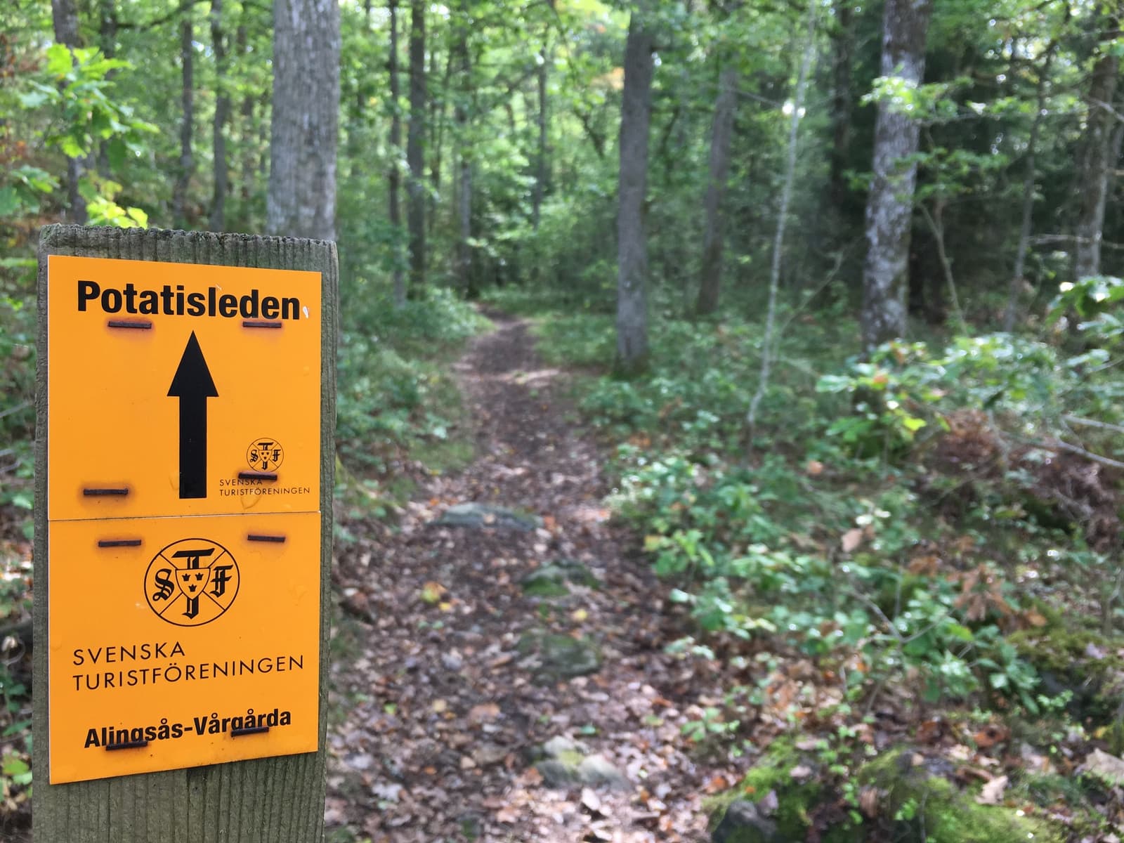 Potatisleden: En Tidsresa genom Alingsås Vackra Landskap