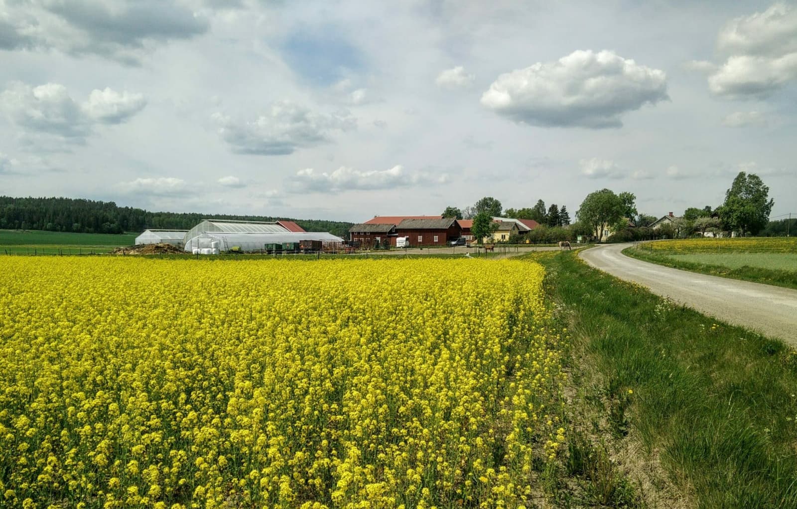 Sörgården Grönt: En kulinarisk oas i Upplands hjärta