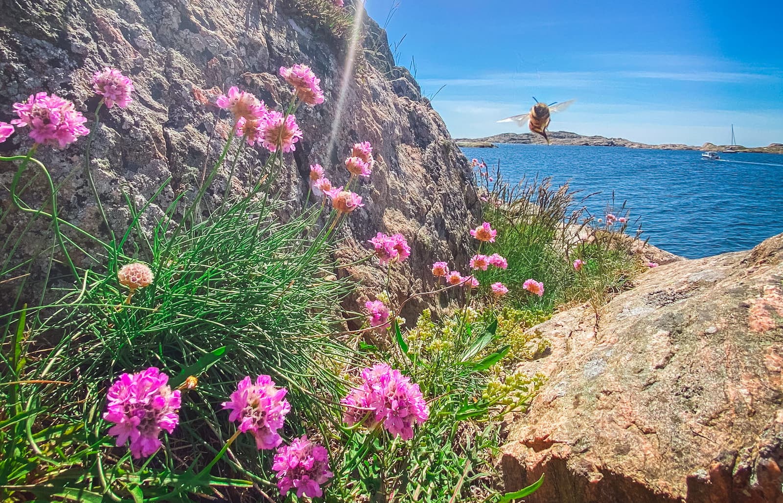 Rörö Rumps strand: Familjeparadis vid Tjörns kust
